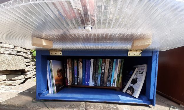 Photo of interior of adult book box